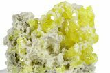 Striking Sulfur Crystals on Fluorescent Aragonite - Italy #282573-2